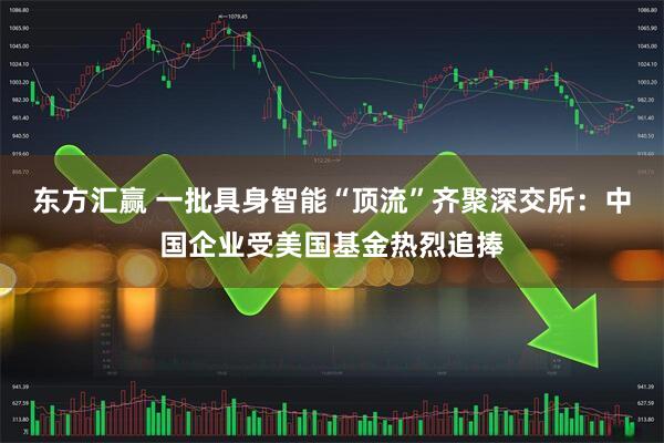 东方汇赢 一批具身智能“顶流”齐聚深交所：中国企业受美国基金热烈追捧