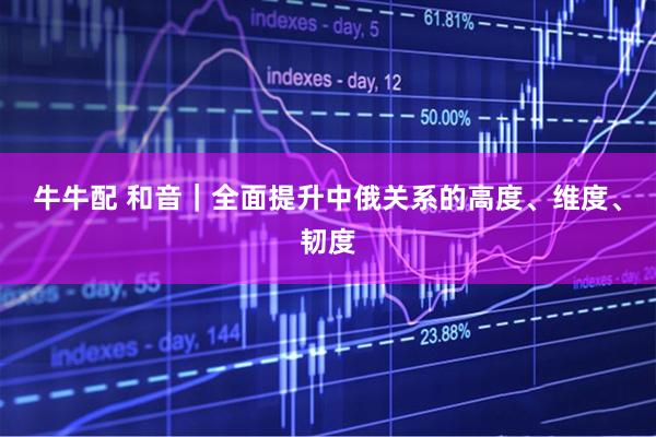 牛牛配 和音｜全面提升中俄关系的高度、维度、韧度