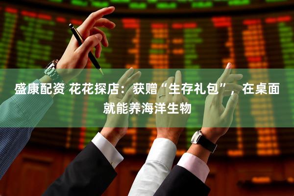 盛康配资 花花探店：获赠“生存礼包”，在桌面就能养海洋生物