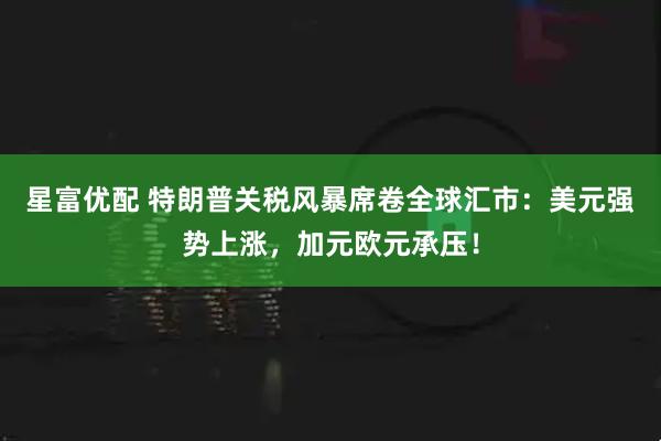 星富优配 特朗普关税风暴席卷全球汇市：美元强势上涨，加元欧元承压！