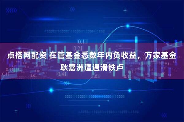 点搭网配资 在管基金悉数年内负收益，万家基金耿嘉洲遭遇滑铁卢