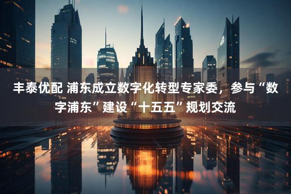 丰泰优配 浦东成立数字化转型专家委，参与“数字浦东”建设“十五五”规划交流