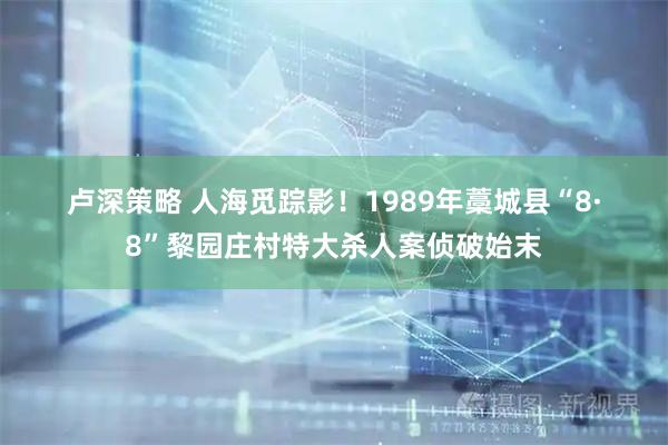 卢深策略 人海觅踪影！1989年藁城县“8&#183;8”黎园庄村特大杀人案侦破始末
