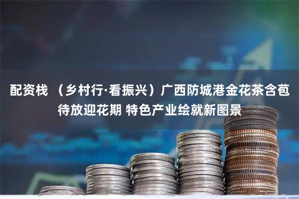 配资栈 （乡村行·看振兴）广西防城港金花茶含苞待放迎花期 特色产业绘就新图景