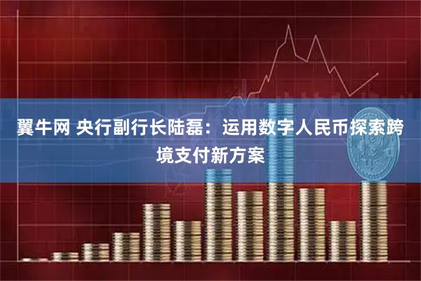 翼牛网 央行副行长陆磊：运用数字人民币探索跨境支付新方案