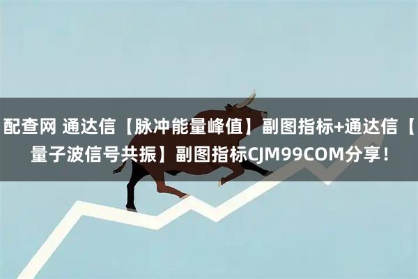 配查网 通达信【脉冲能量峰值】副图指标+通达信【量子波信号共振】副图指标CJM99COM分享！