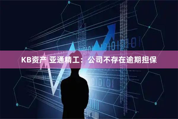 KB资产 亚通精工：公司不存在逾期担保